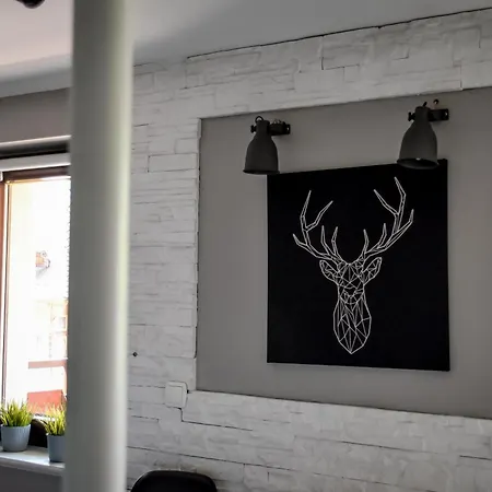 U Anki Apartment Zakopane